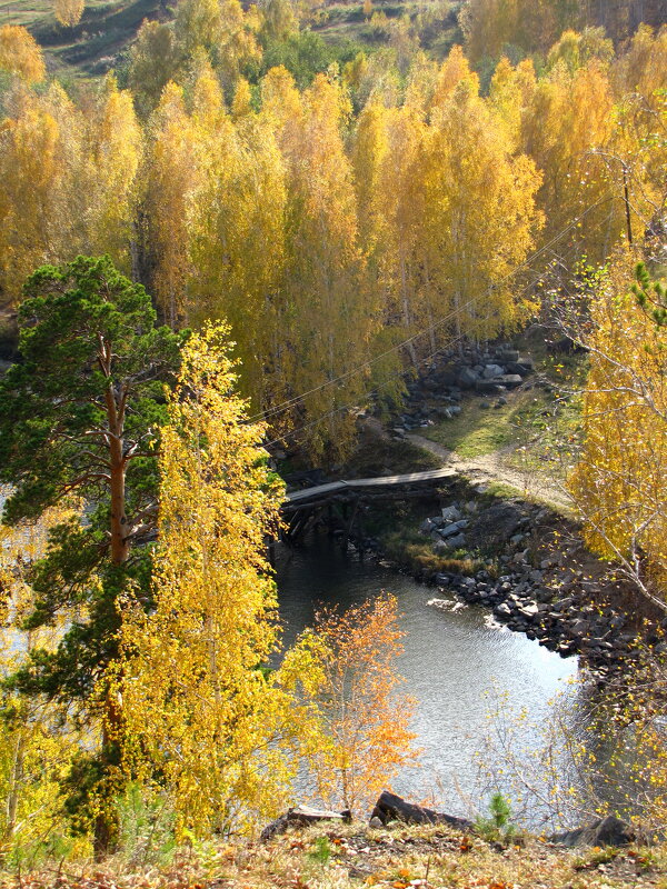 краски осени - Игорь 
