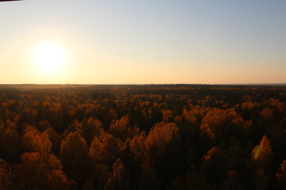 краски осени - Игорь 