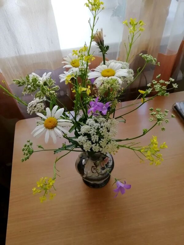 Прекрасной летней недели,друзья! - Нина Андронова