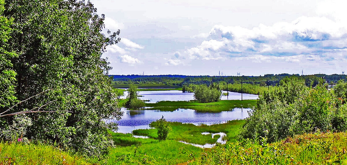 Июнь...Разлив протоки Сырой Аган! - Владимир 