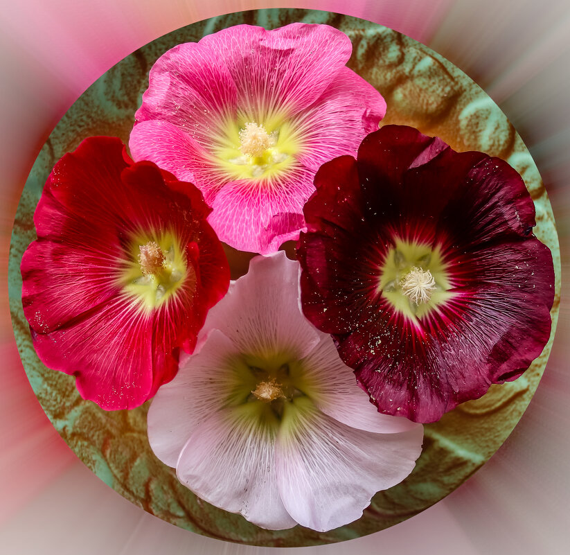 Цветочный этюд (2) - Игорь Викторов