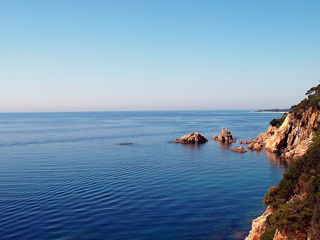 Барселона. - Владимир Драгунский Барселона. - Владимир Драгунский