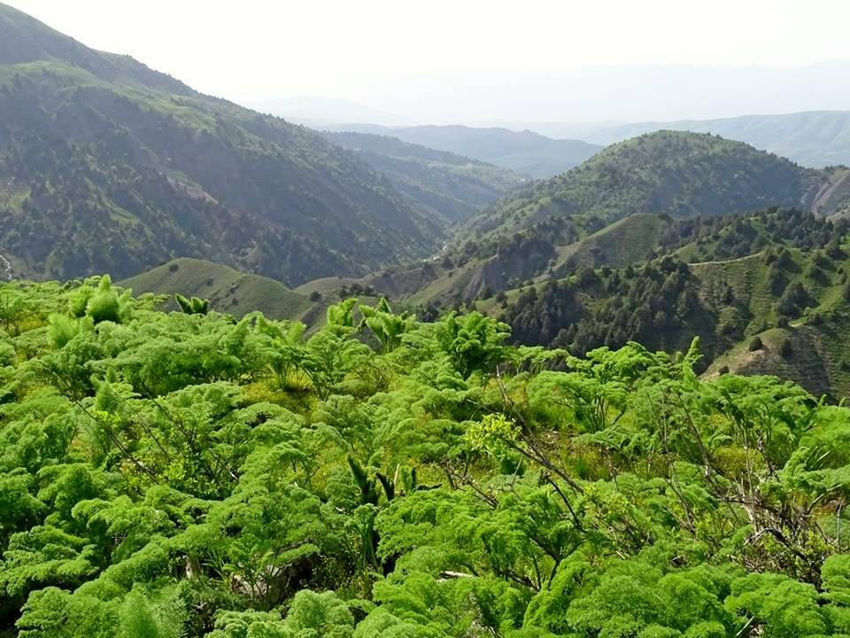 ПО ГОРАМ. - Виктор Осипчук