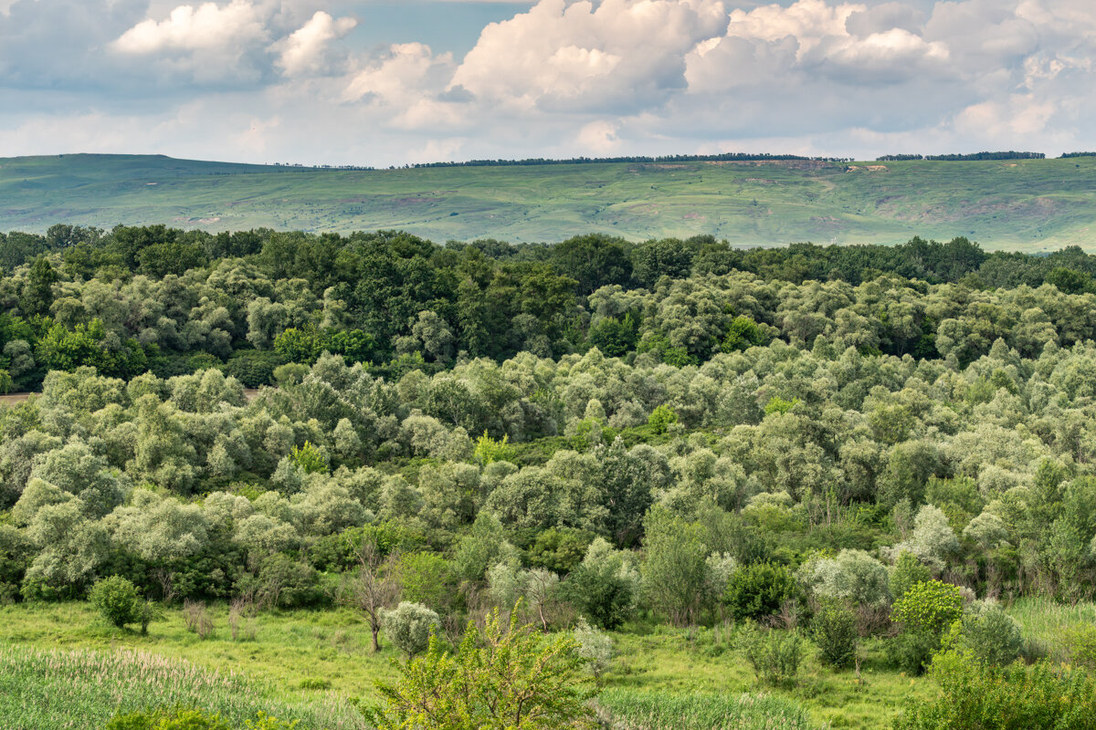 Краснодарский край - Игорь Сикорский Краснодарский край - Игорь Сикорский