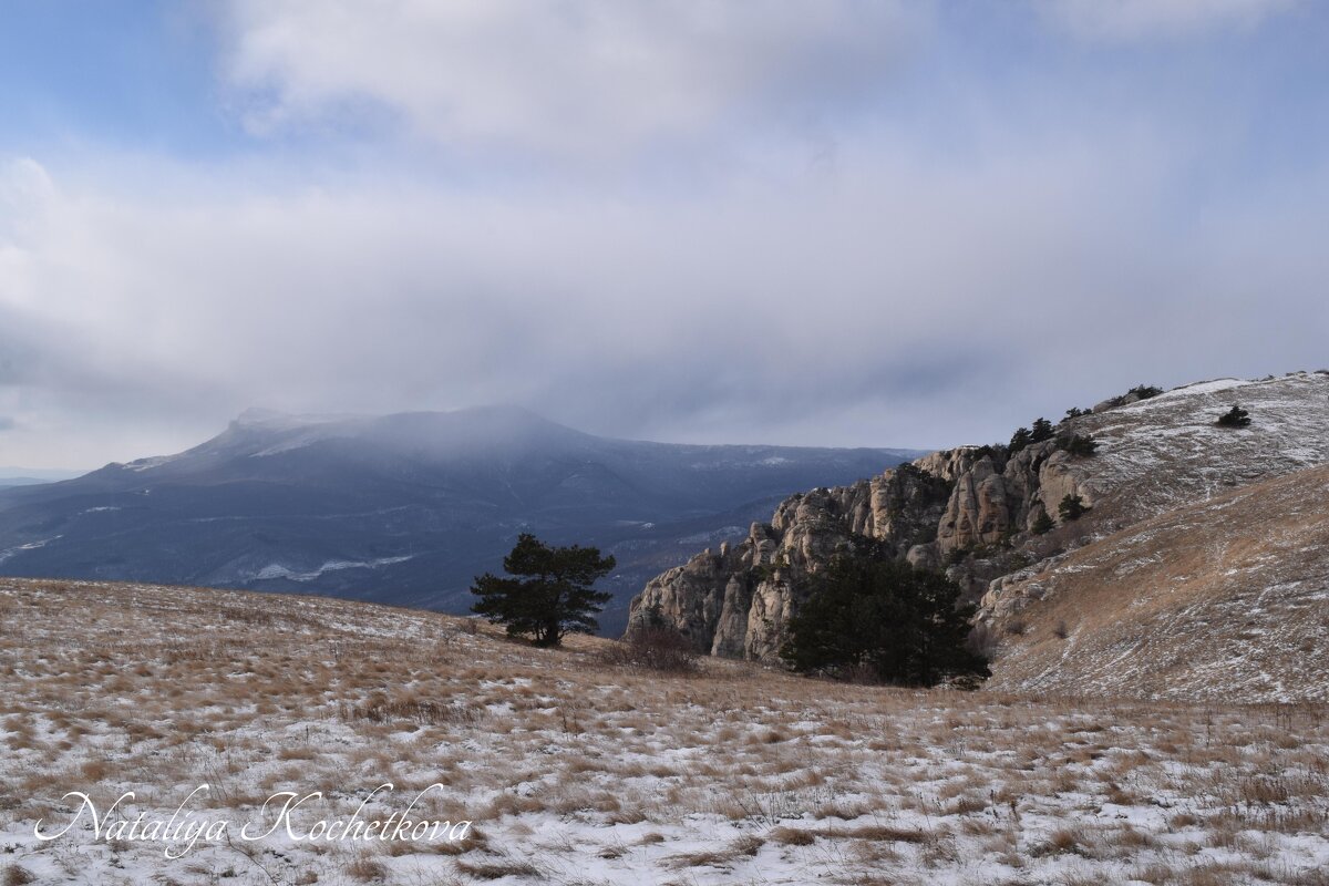 Природа Крыма - Amazing Cosmea