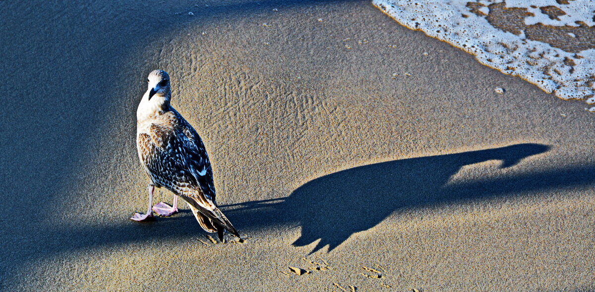 На Балтике - Анастасия Смирнова