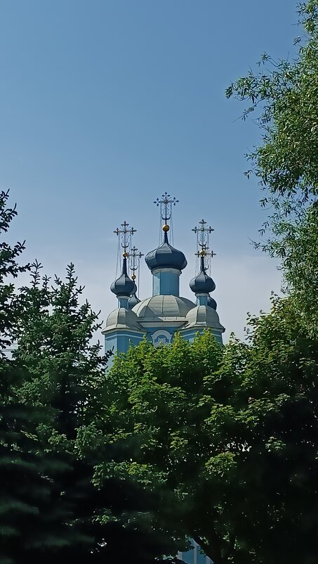 Летний день! - Андрей 