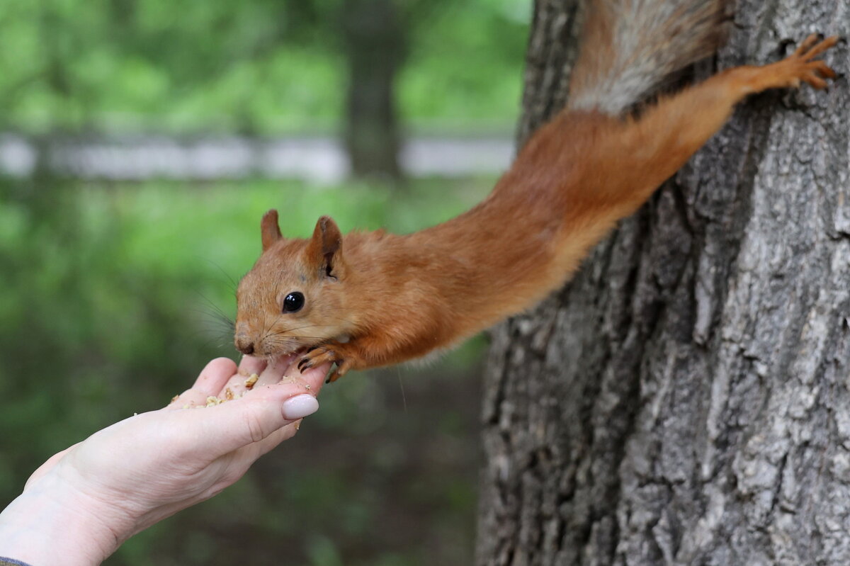 Элементы акробатики - Александр Кондаков
