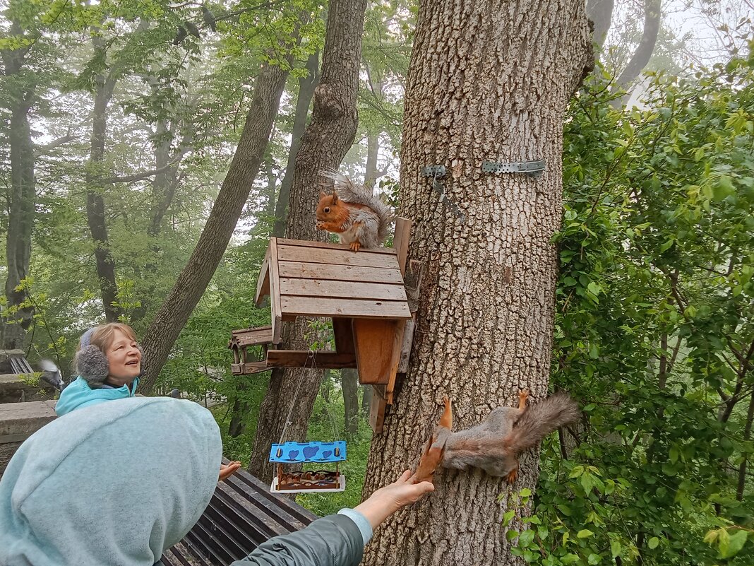 Радость общения - Виктор 