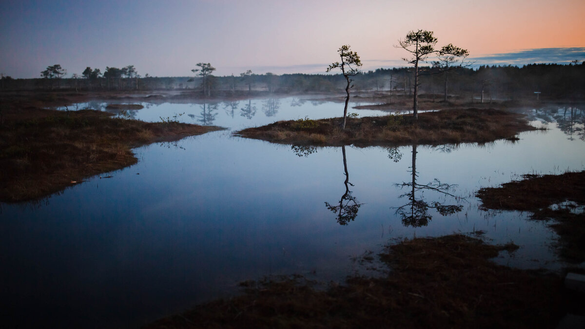 Болотная. Предзакатная. :) - spr42 ***