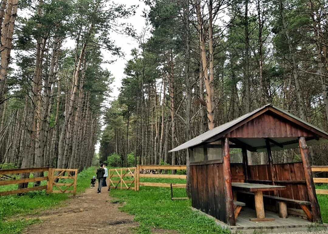 Заповедник - Tata Wolf