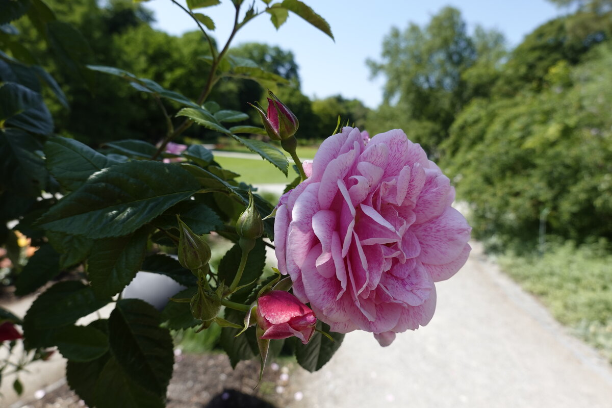 ... - Галина ... - Галина