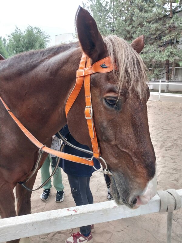 Almaty. - Murat Bukaev 