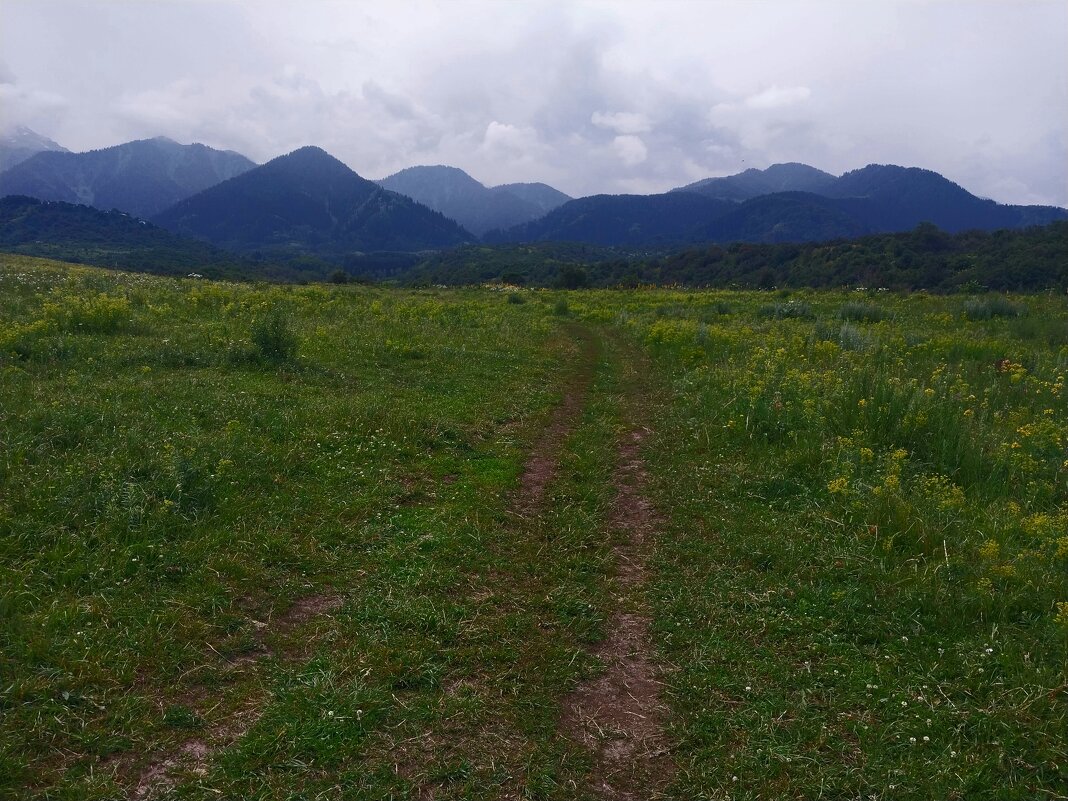 Talgar. - Murat Bukaev 