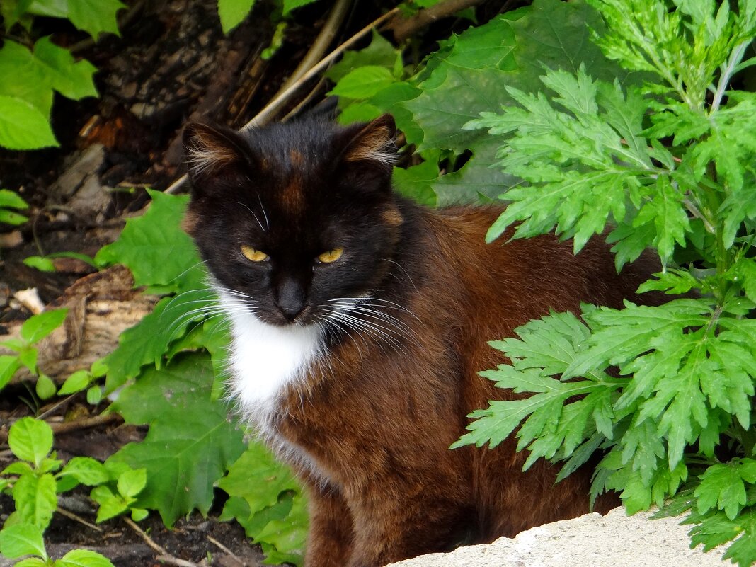 Кузьмич - Антонина Гугаева