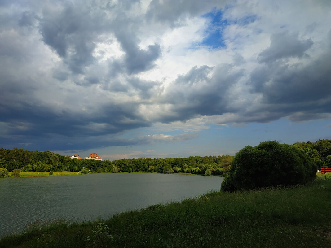 * * * - Андрей Лукьянов