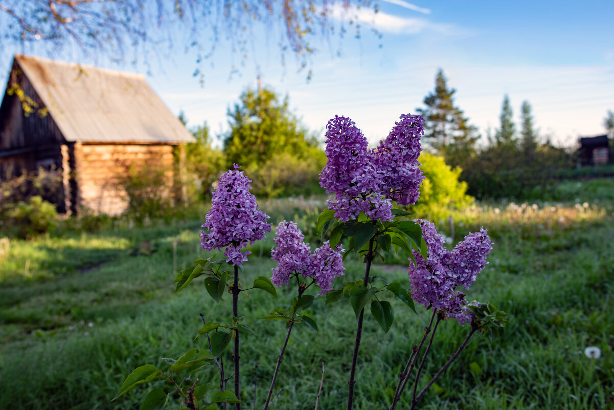 Весна - Петр 