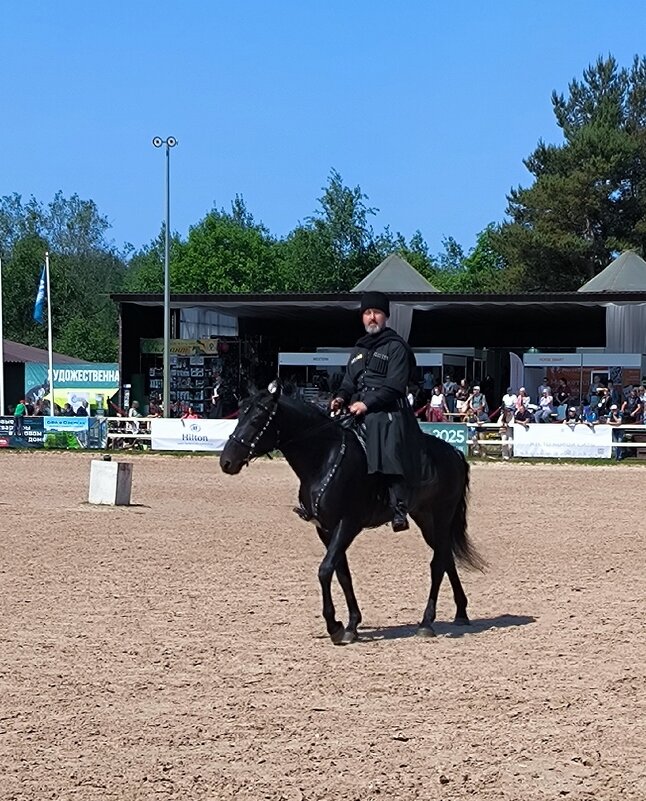 Иппосфера - 2025. Кабардинская порода. - Ольга 