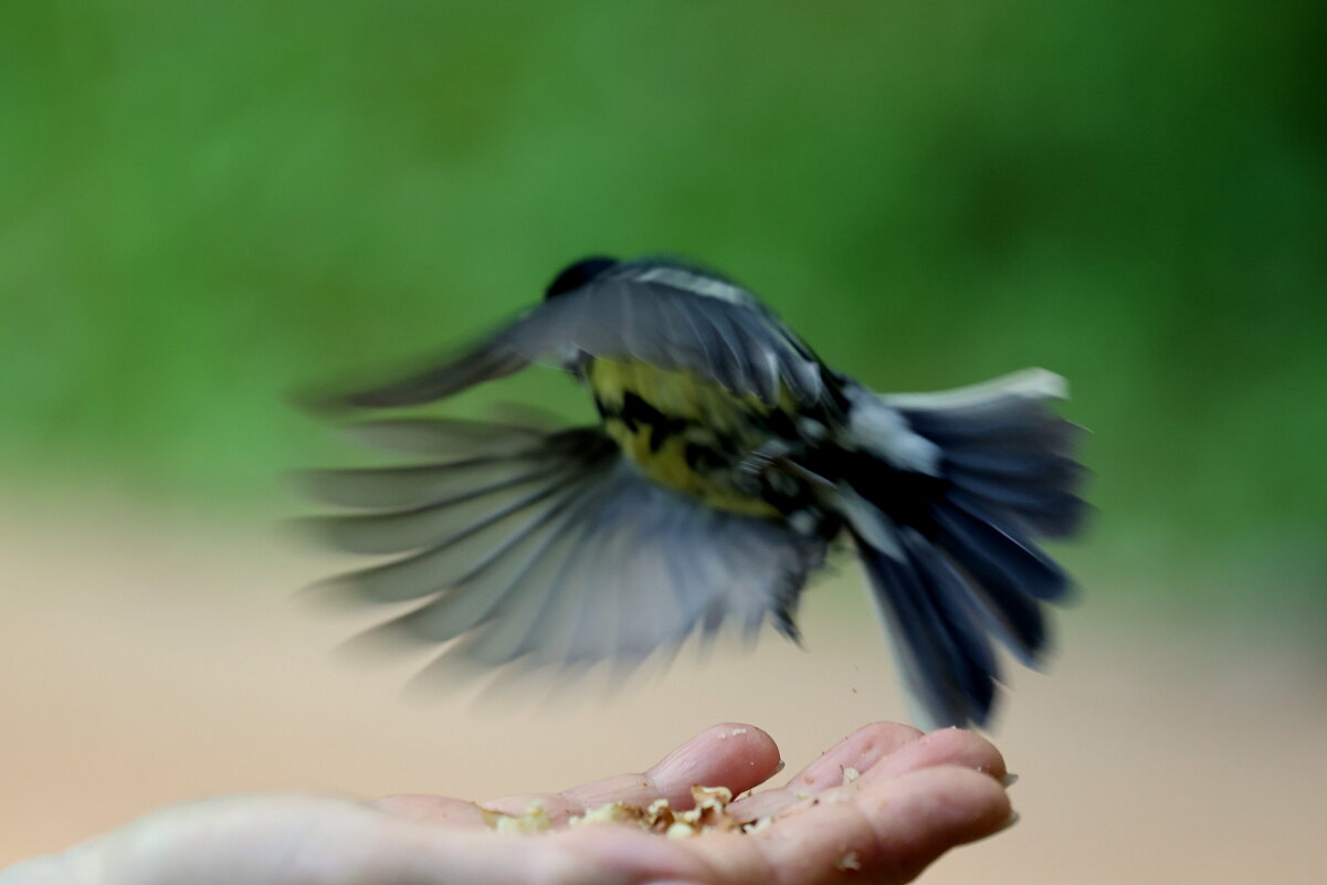 Вихрь - Александр Кондаков Вихрь - Александр Кондаков