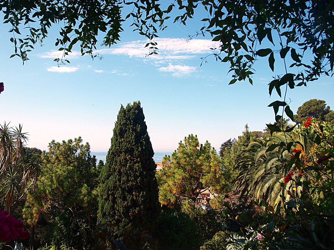 Барселона. - Владимир Драгунский