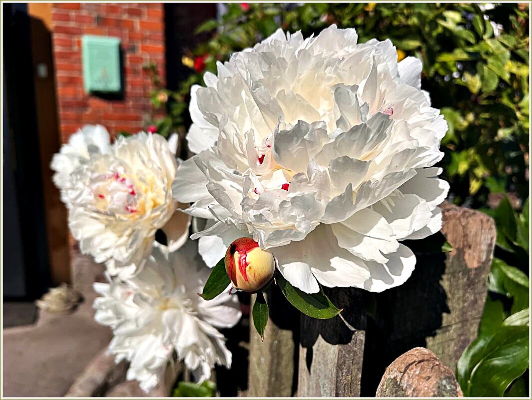 Картинка лета. - Валерия Комова Картинка лета. - Валерия Комова