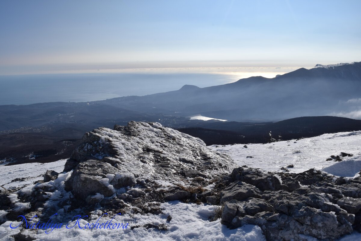 Природа Крыма - Amazing Cosmea