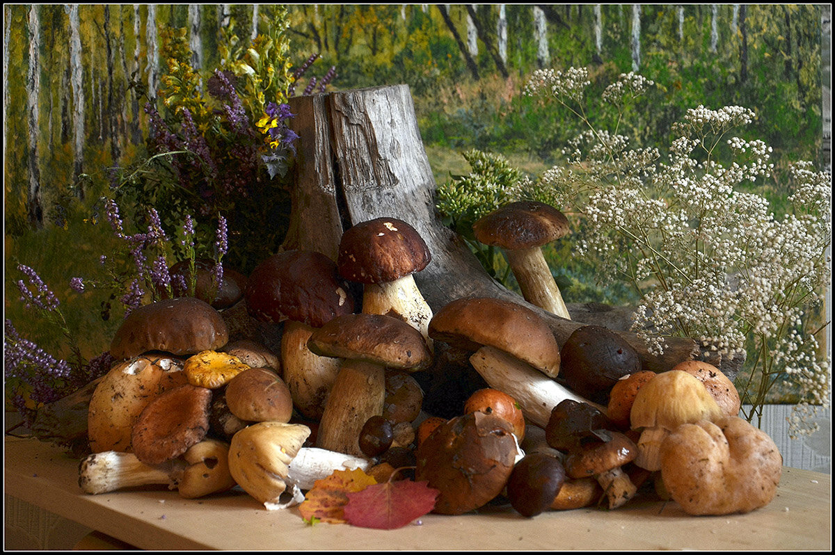 От тихой охоты... - Aleksandr Gal