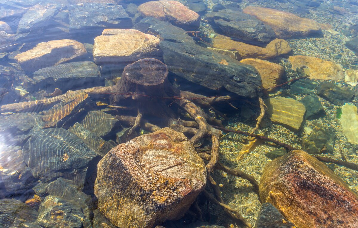 На берегу озера Тургояк. - Алексей Трухин