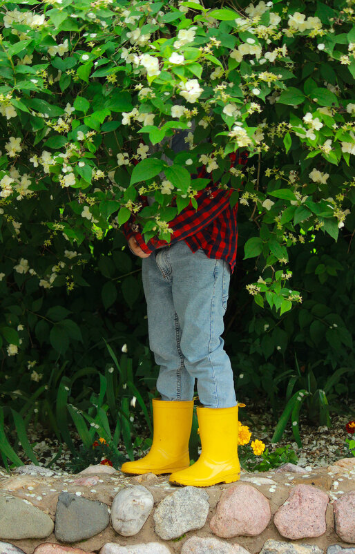 ... - Елена Сиднина