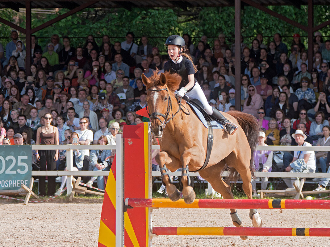Конкур - Алексей Смирнов