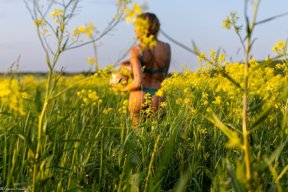 В лучах заходящего Солнца.. - Евгений Ермаков