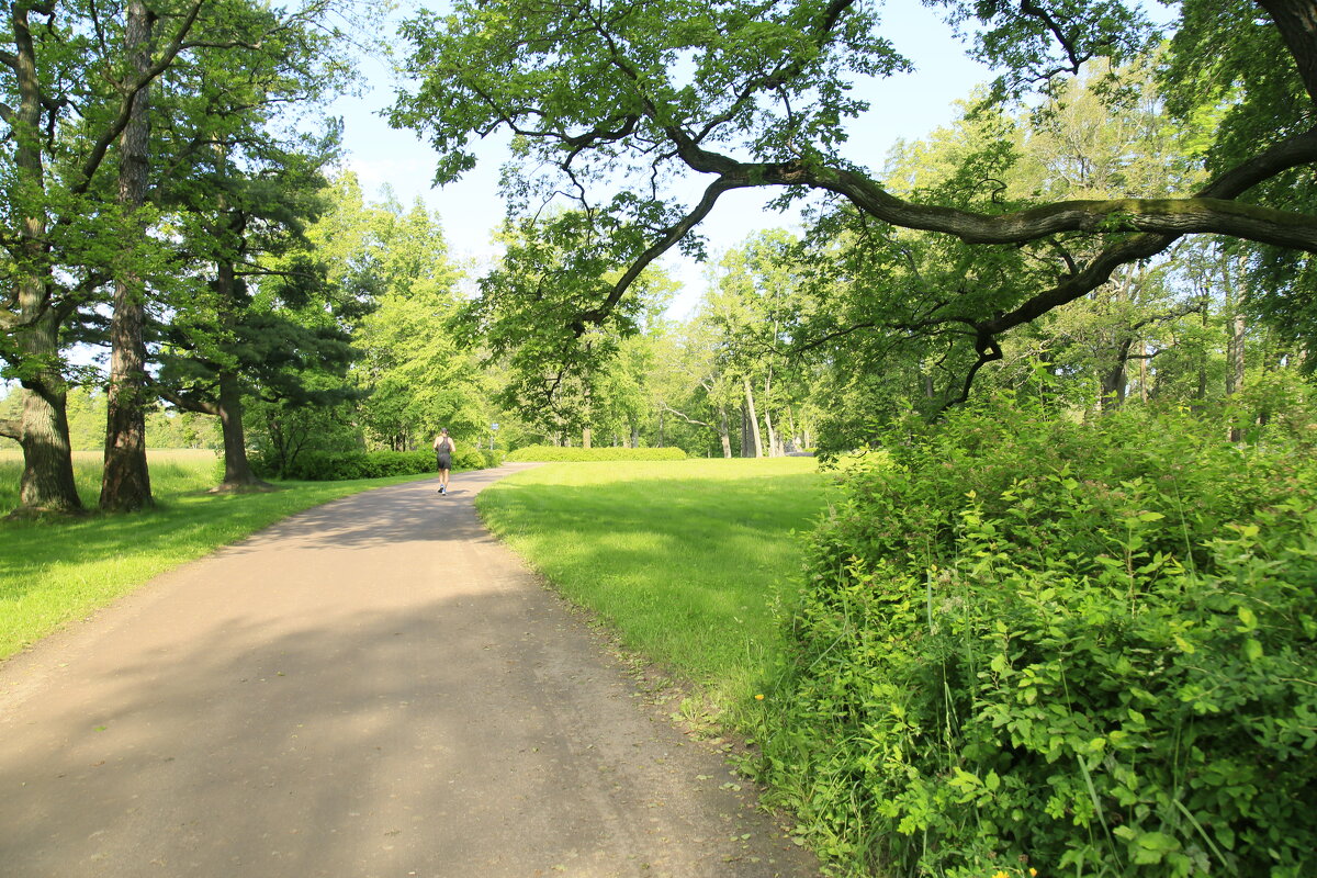 Утренняя пробежка - Танзиля Завьялова