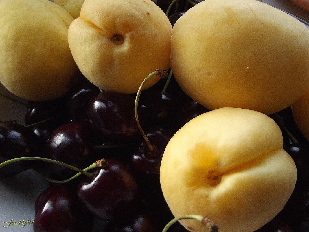 Витамины - Freddy 97 Витамины - Freddy 97