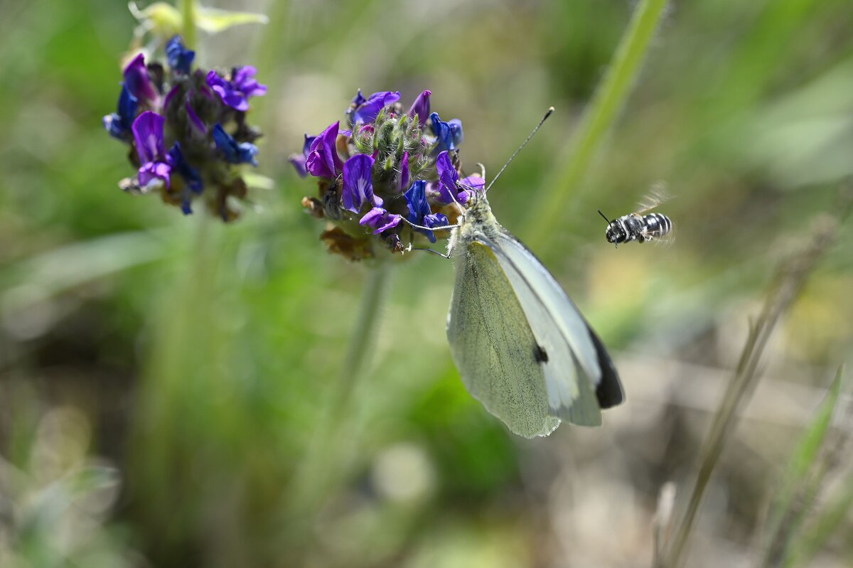Лето - это маленькая жизнь - Ольга 
