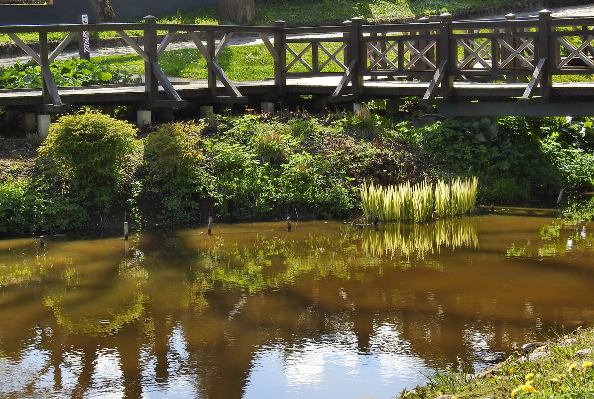 ***** - ИННА ПОРОХОВА