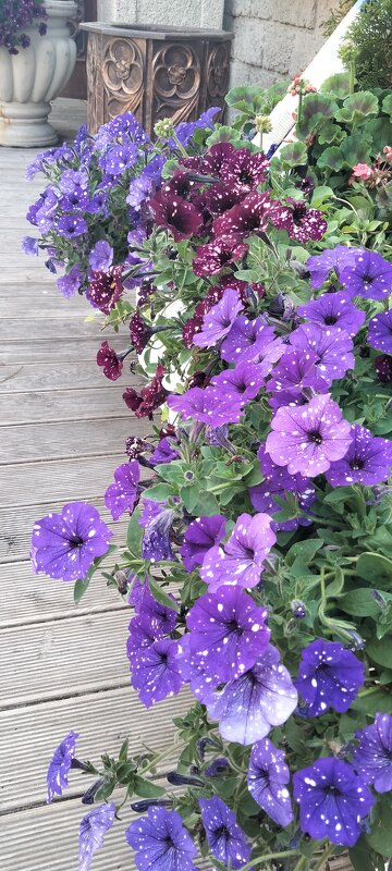лето в городе - Галина R... лето в городе - Галина R...