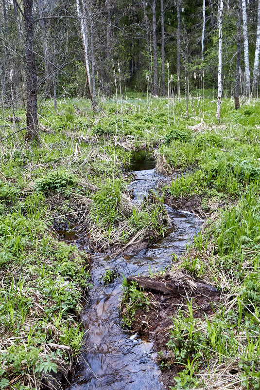 Ручей, впадающий в реку Кибелек - Алексей Р.