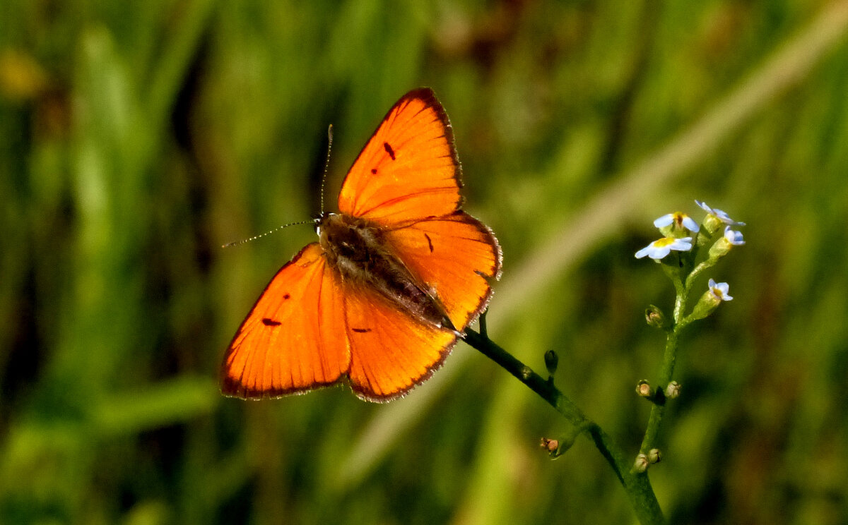 из снятого сегодня 3 - Александр Прокудин