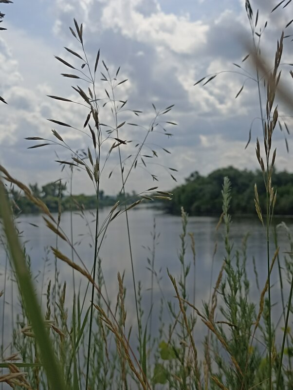 Перед грозой. - Pippa 