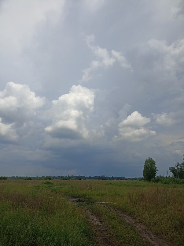 Перед грозой. - Pippa 