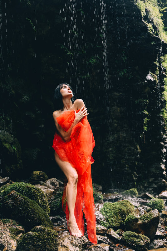 В дикой природе - Елена 