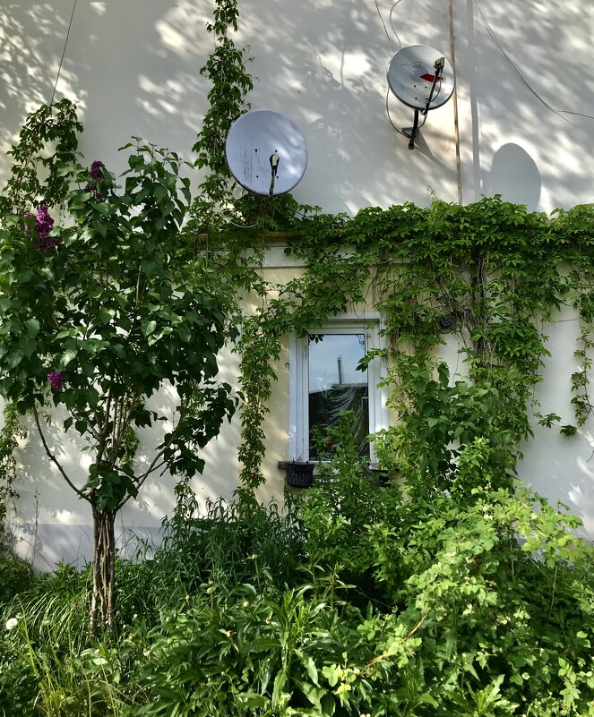 Окна-7 - Любовь 