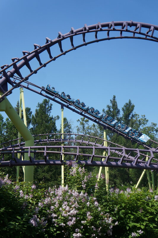 Диво остров - zavitok * Диво остров - zavitok *