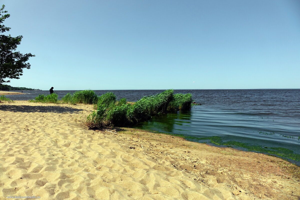 Пляж у форта Риф - Игорь Корф