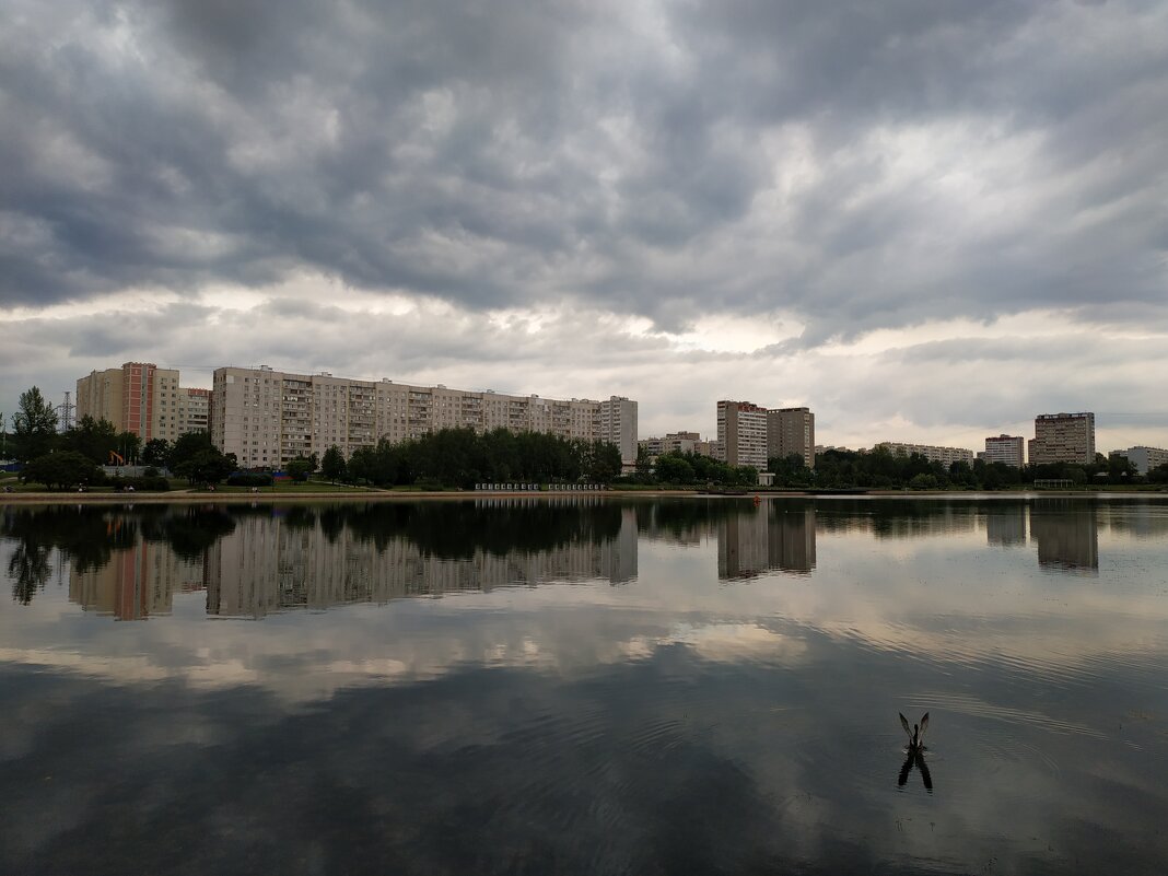 * * * - Андрей Лукьянов