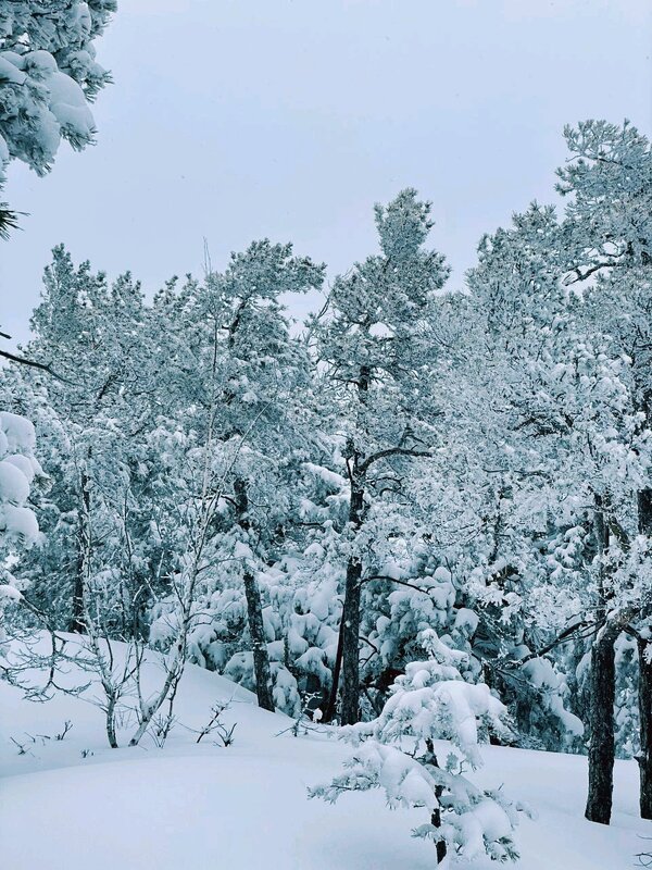 Зимний вечер - Георгиевич Зимний вечер - Георгиевич