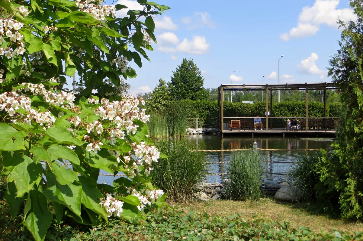 Озеро в парке МЕГА в Аксае - Татьяна Смоляниченко Озеро в парке МЕГА в Аксае - Татьяна Смоляниченко