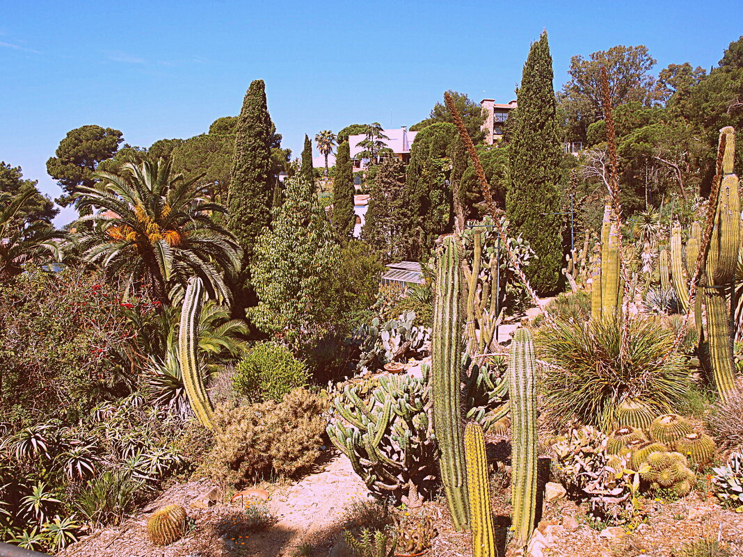 Барселона. - Владимир Драгунский