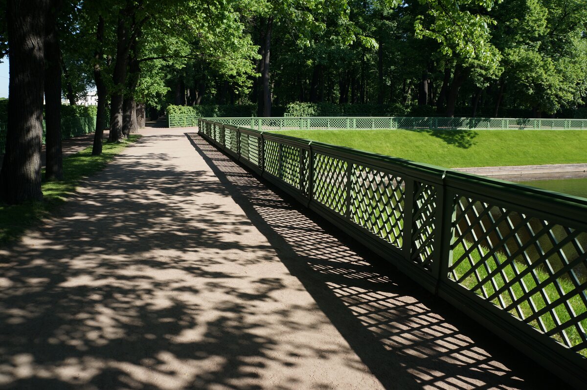 Тени ... - Алёна Савина Тени ... - Алёна Савина