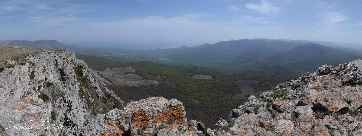 Природа Крыма - Amazing Cosmea